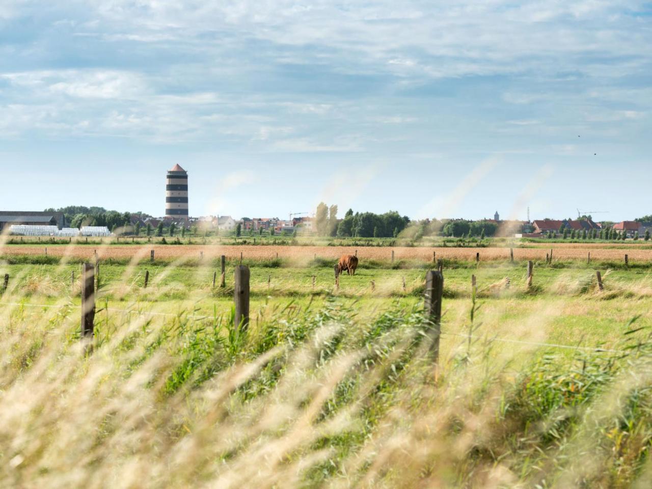Studio Residentie Astrid-3 By Interhome Bredene Kültér fotó
